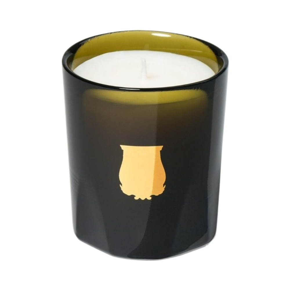 Cire Trudon Gabriel Petite Candle 70g