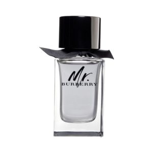 Burberry Mr. Burberry 100ml Eau de Toilette