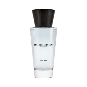 Burberry Touch 100ml Eau de Toilette
