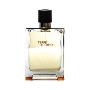 Hermes Terre d'Hermes 100ml Eau de Toilette
