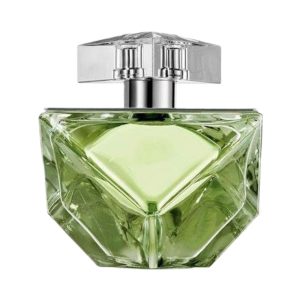 Britney Spears Believe 100ml Eau De Parfum