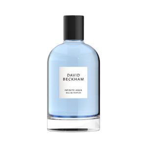 David Beckham Infinite Aqua 100ml Eau De Parfum